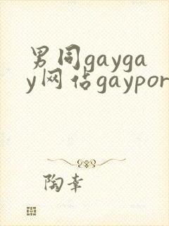 男同gaygay网站gayporn封面