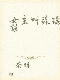 女主叫苏瑶的小说