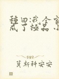 种田:我全家穿成了极品 小说下载txt封面