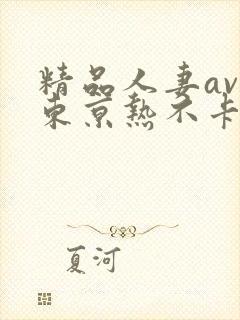 精品人妻av区东京热不卡