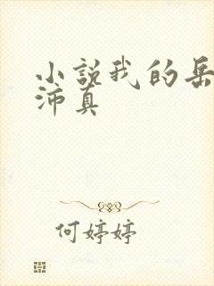 小说我的岳母苏沛真