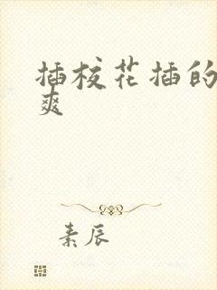 插校花插的我好爽封面