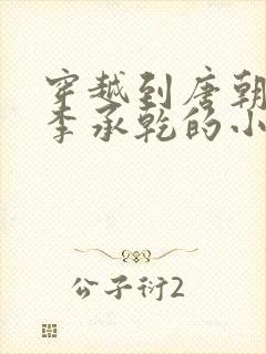 穿越到唐朝成为李承乾的小说