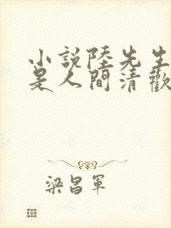 小说陆先生,你是人间清欢处阅读