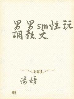 男男sm性玩具调教文