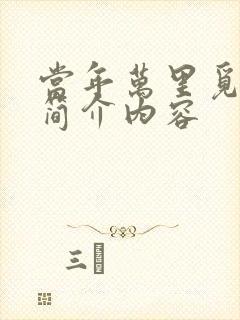 当年万里觅封侯简介内容