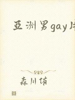 亚洲男gay片封面