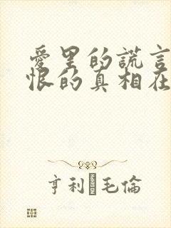 爱里的谎言,仇恨的真相在线观看封面