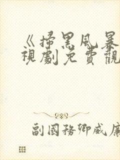 《扫黑风暴》电视剧免费观看完整版