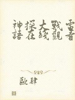 神探大战电影国语在线观看免费完整版