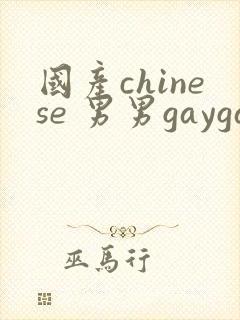 国产chinese 男男gaygay网站