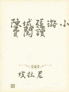 陈城张璐小说免费阅读封面