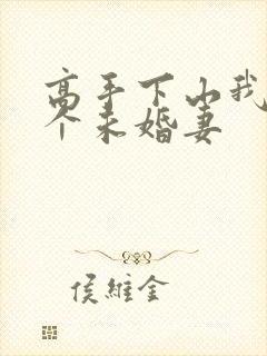 高手下山我有九个未婚妻