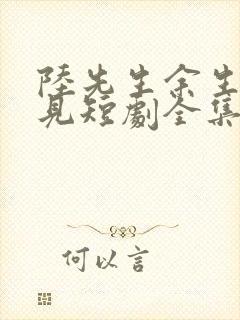 陆先生余生不再见短剧全集免费封面