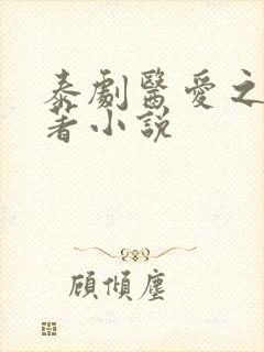 泰剧医爱之名原著小说