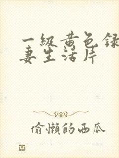 一级黄色录像夫妻生活片