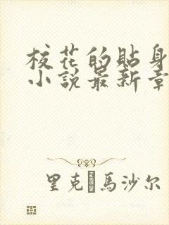 校花的贴身高手小说最新章节列表封面