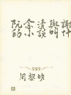 阮念清与谢存旭的小说叫什么