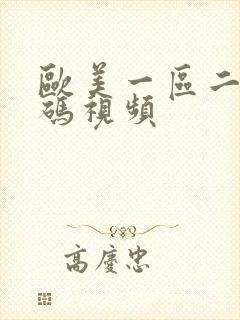 欧美一区二区乱码视频