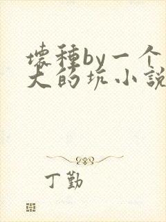 坏种by一个巨大的坑小说原著