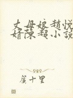 丈母娘赵悦与女婿陈超小说阅读全文封面