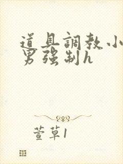 道具调教小说男男强制h封面