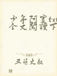 少年阿宾txt全文阅读下载封面