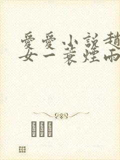 爱爱小说赵氏嫡女一蓑烟雨封面