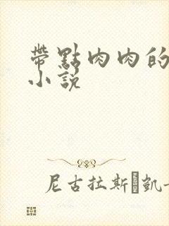 带点肉肉的言情小说