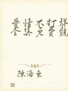 爱情不打烊短剧全集免费观看高清版