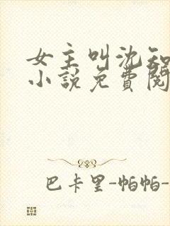 女主叫沈知薇的小说免费阅读