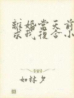 离婚当天前夫跪求我复合小说全集