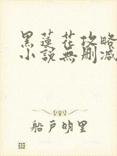 黑莲花攻略手册小说无删减版封面