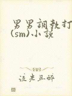男男调教打屁股(sm)小说