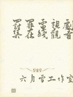 罚罪电视剧40集在线观看完整版