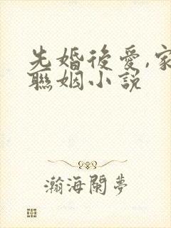 先婚后爱,家族联姻小说