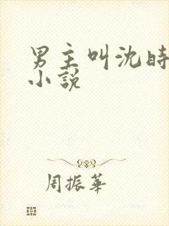 男主叫沈时礼的小说