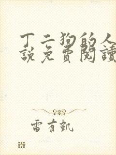 丁二狗的人生小说免费阅读全文
