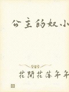 公主的奴小说封面