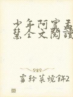 少年阿宾孟卉钰慧全文阅读