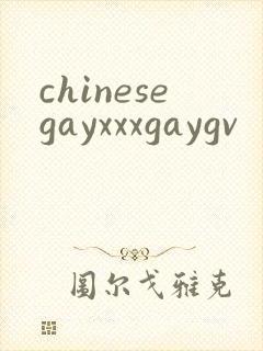 chinesegayxxxgaygv封面