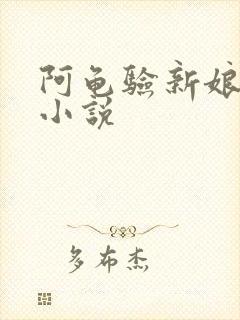 阿龟验新娘系列小说