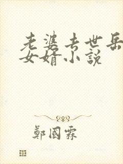 老婆去世岳母和女婿小说