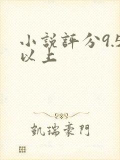 小说评分9.5以上