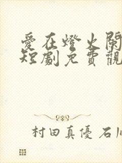 爱在灯火阑珊处短剧免费观看