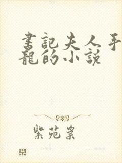 书记夫人手握巨龙的小说