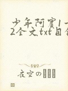 少年阿宾1一72全文txt目录