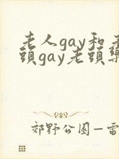 老人gay和老头gay老头乐