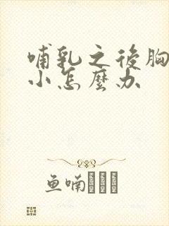 哺乳之后胸部变小怎么办