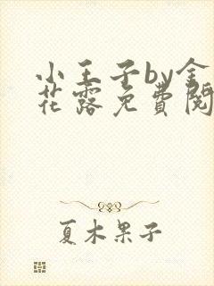 小王子by金银花露免费阅读笔趣阁